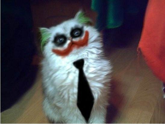 Михаил Перепелица фото со стены #4