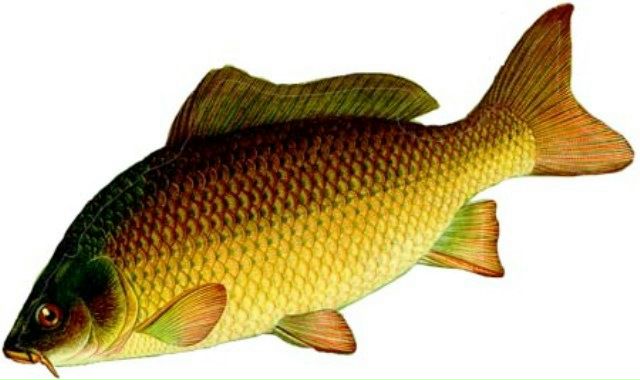 №32, Любовь Краснова, Екатеринбург №32, Любовь Краснова, Екатеринбург