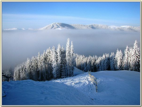 №115, Ігор Довганич, 36 лет №115, Ігор Довганич, 36 лет