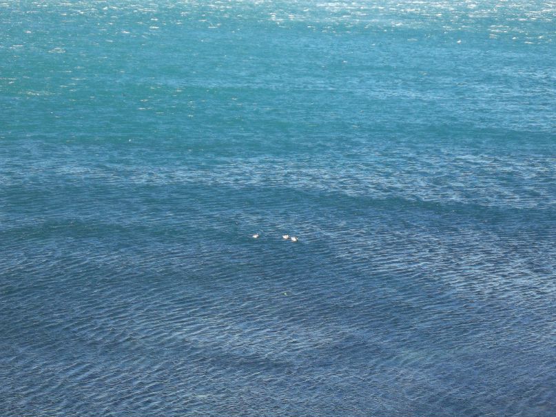 Елена Дьякова | Мостовской