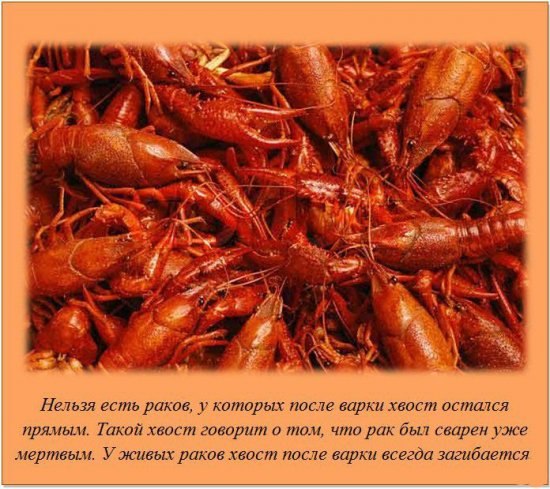 Наталия Дорошенко Ƹ̴Ӂ̴Ʒ♥СиМпАтЯжКа♥Ƹ̴Ӂ̴Ʒ | Киев