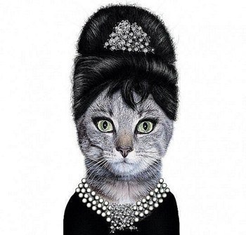 Анна Чекалова | Краснодар