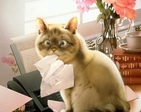 Alevander Akimov 쉬게알렉 | Херсон