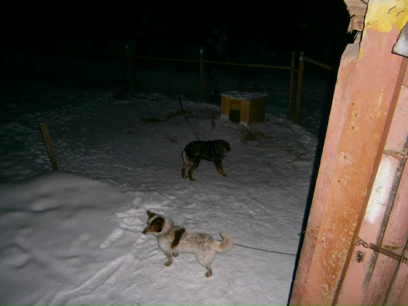 Татьяна Ващенко | Великие Луки