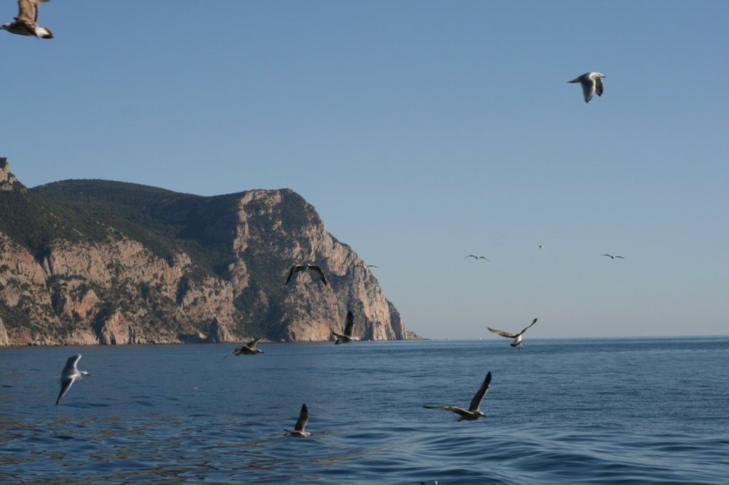 Анна Пасмурова | Санкт-Петербург