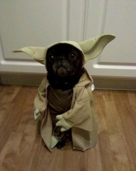 Ольга Хайловська | Киев