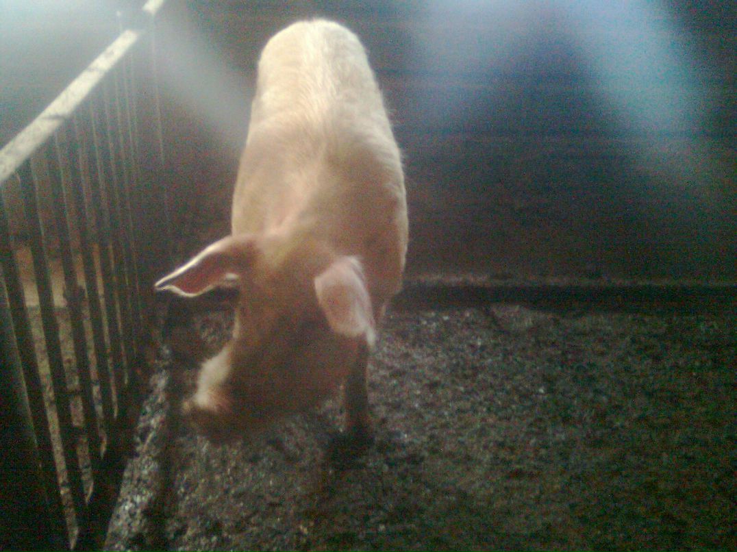 Миха Коуров | Екатеринбург