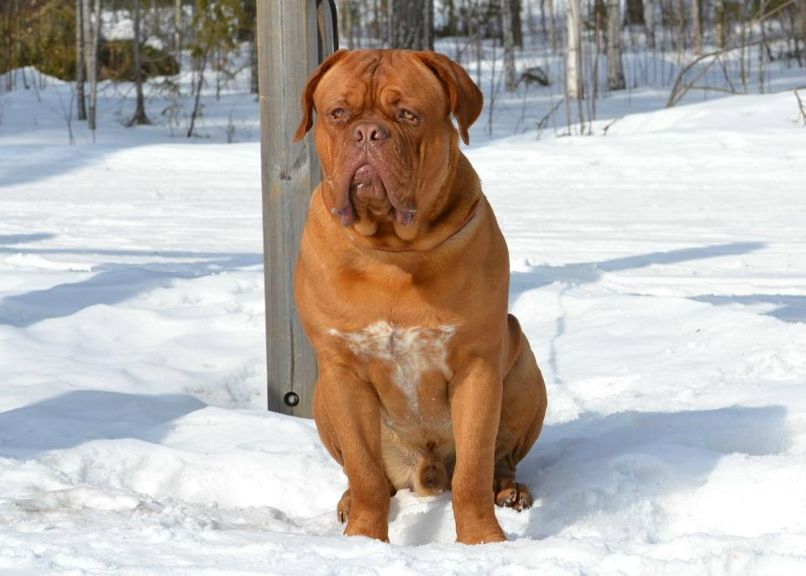 Екатерина Иванова | Санкт-Петербург