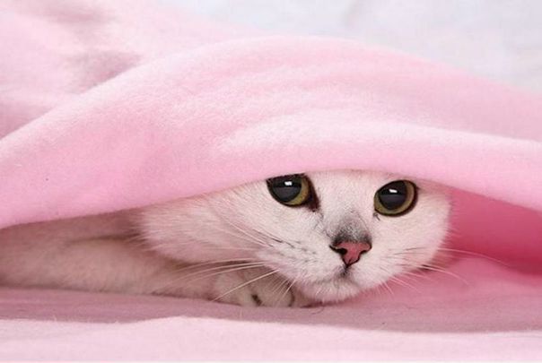 №7, Андрюха Коломієць №7, Андрюха Коломієць