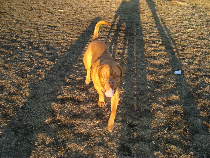 Паша Кузнецов | Санкт-Петербург