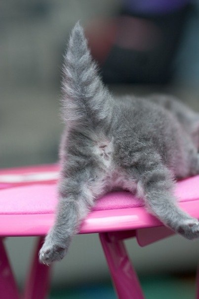 Артем Володин | Апатиты