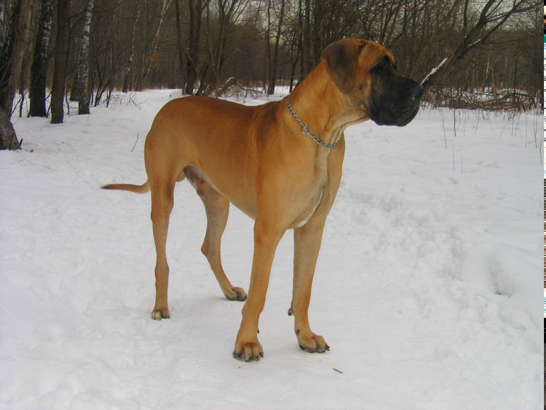 Ирина Кузнецова | Москва