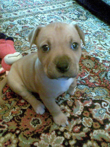 №32, Алина Потопа, Кривой Рог №32, Алина Потопа, Кривой Рог