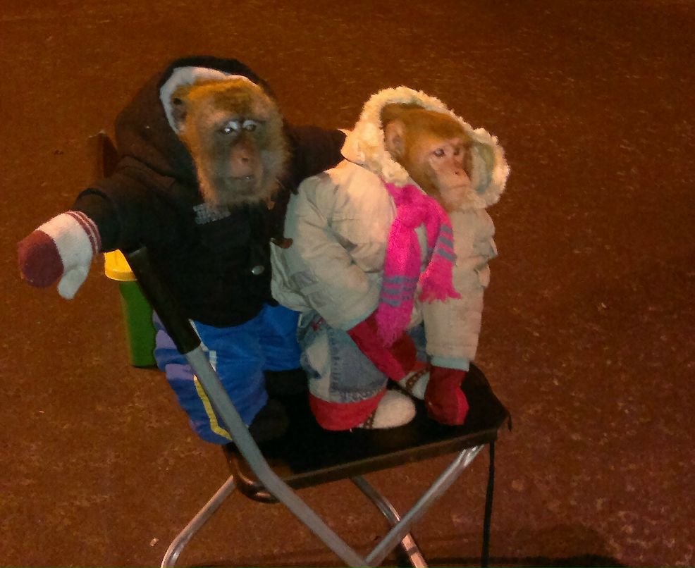 Мария Новичихина | Санкт-Петербург