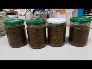 Завонял всю лабораторию!!! А все из-за зеленого удобрения! Дошла очередь и до него!