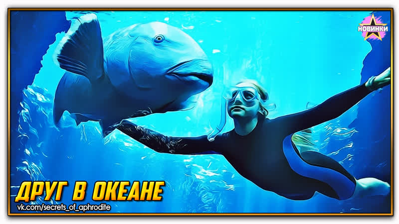 Друг в океане, Blueback