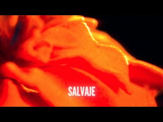 St. Vincent - Salvaje (Official Lyric Video)