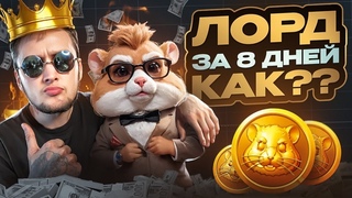 ХОМЯК КОРМИТ ! САМАЯ БЫСТРАЯ ПРОКАЧКА в Хамстер Комбат   Гайд по Hamster Kombat   КОМБО КАРТЫ