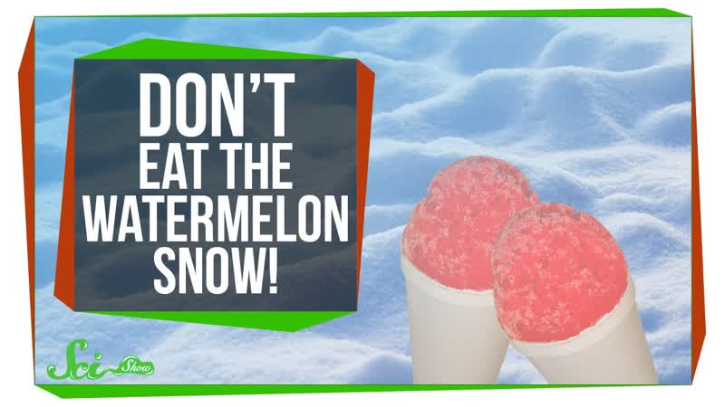 Dont Eat the Watermelon