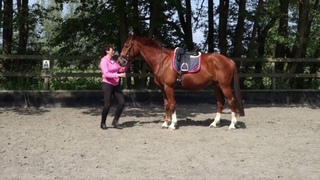 Yvon's Lesson With Will In Holland