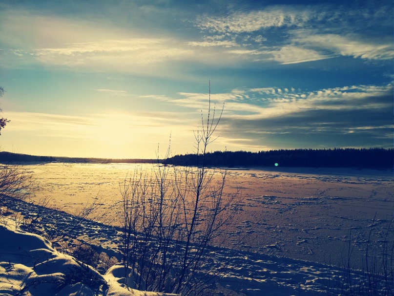 Маргарита Андреева | Ухта