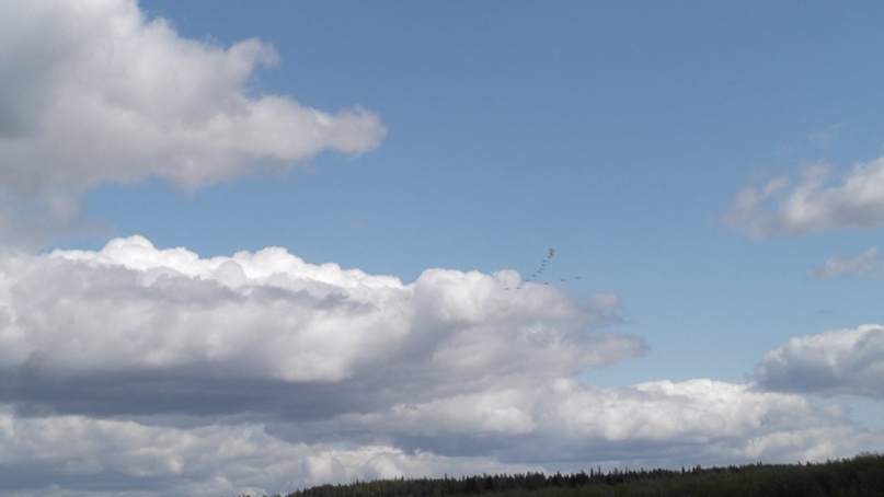 Альбина Мартынова | Кандалакша