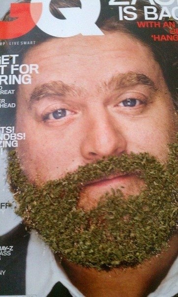 Василий Сергеев | Чебоксары