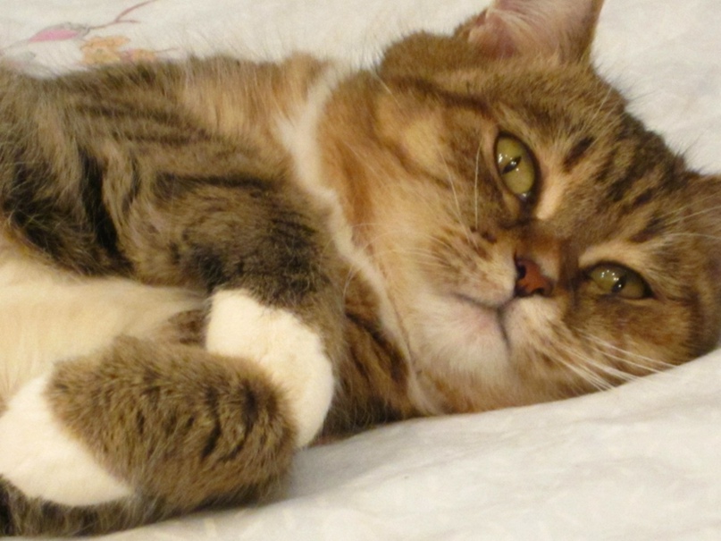 Настя Орлова | Москва