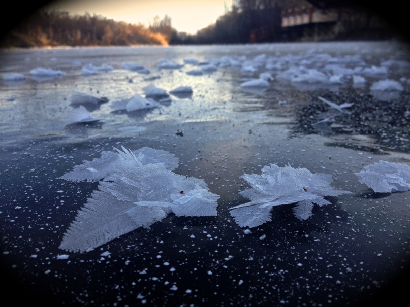 Алёна Филиппова | Самара