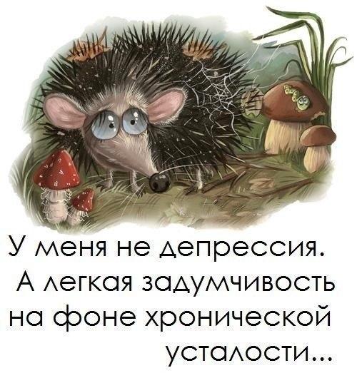 Сергей Андронов | Псков