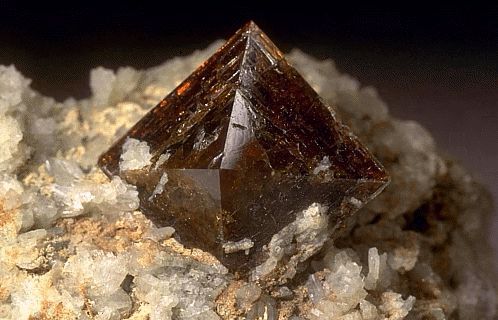 Александр Семенов | Санкт-Петербург