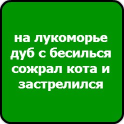 Юлия Краскова CLUB | Белокуриха