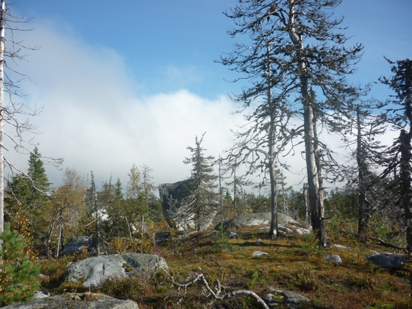 Мария Казарина | Москва