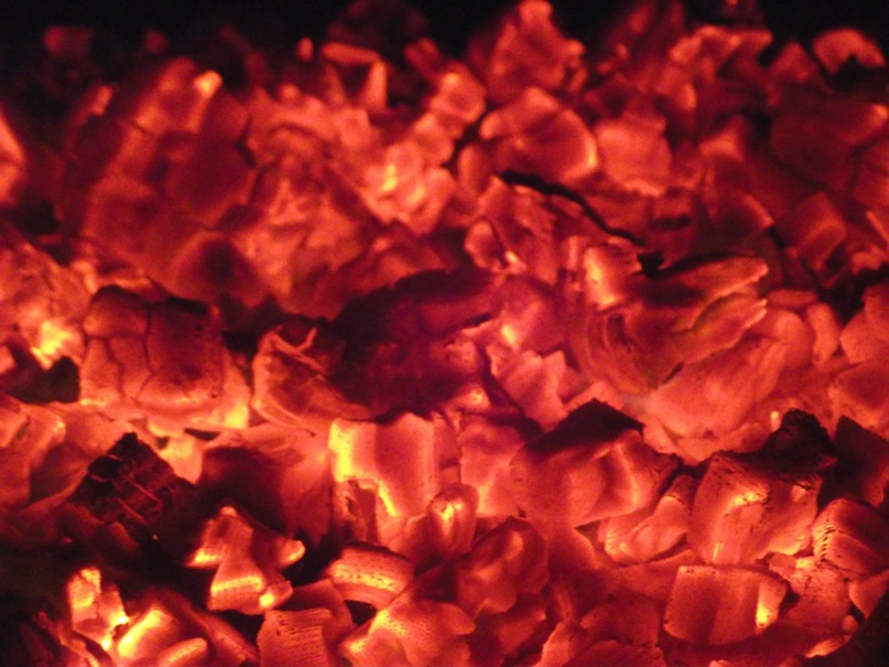 Наталья Брель | Гомель