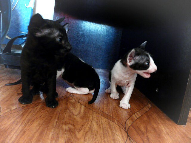 Наталия Юдина | Астрахань