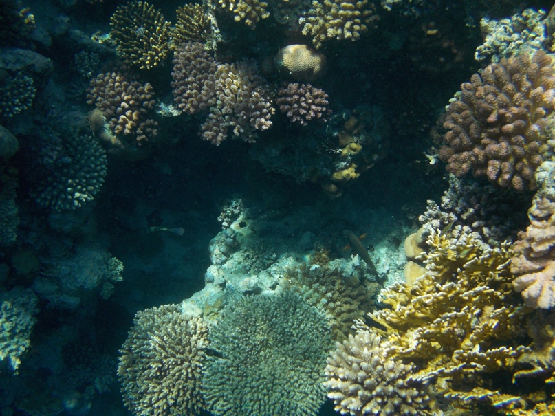 Александр Сугробов (by Alexander $) | Воронеж