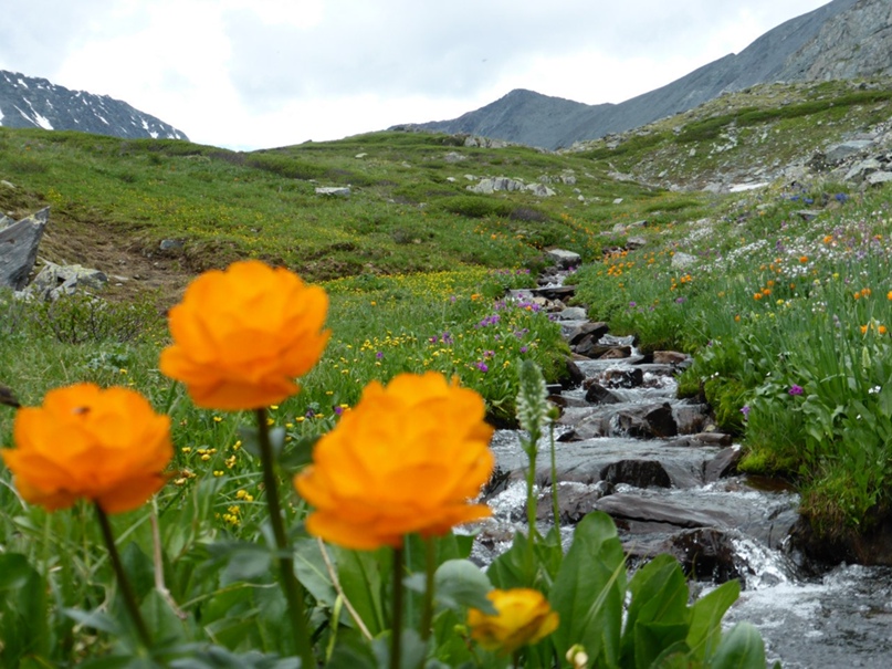 Елена Осинцева | Екатеринбург