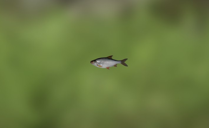 Павел Котов | Москва