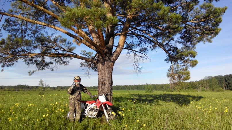 Антон Брежнев | Тегульдет