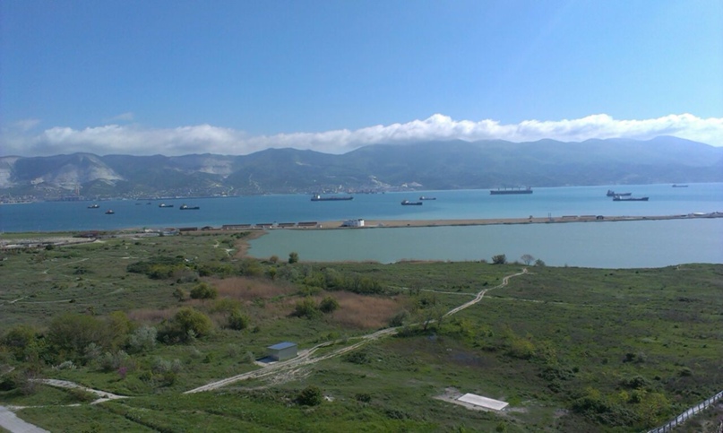 Марина Сорока | Новороссийск