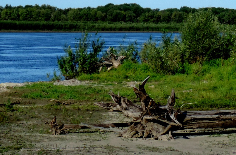 Елена Дьякова | Гиагинская