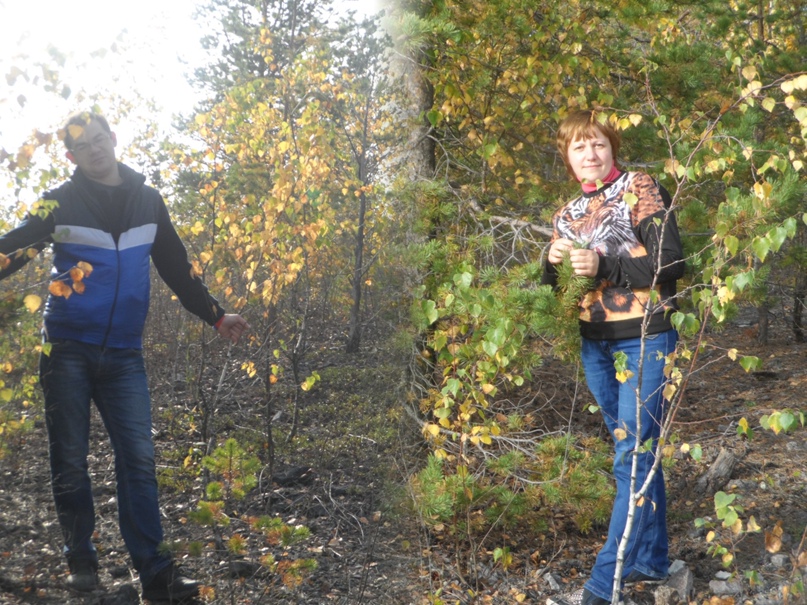 Нина Логинова | Сланцы