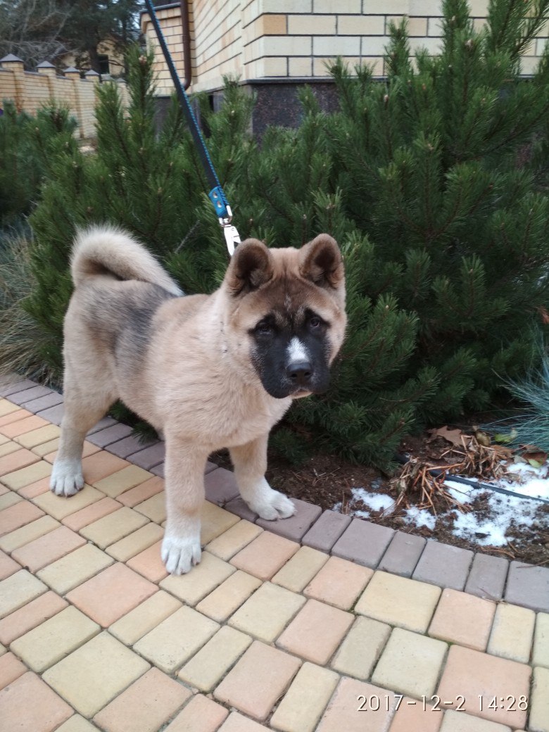 Полина Калугина | Пермь