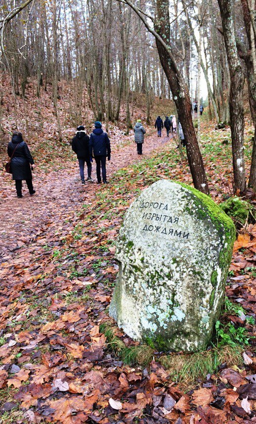 Elena Borisova | Екатеринбург