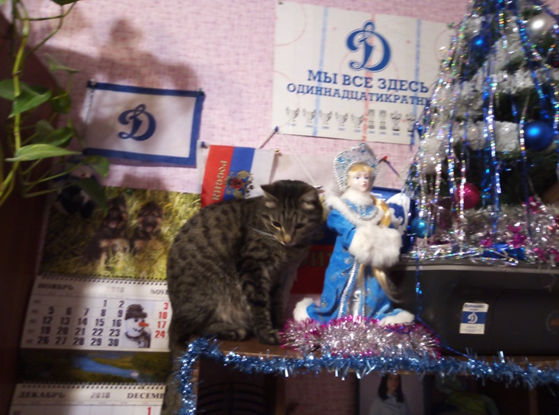 Оксана Немкова | Москва