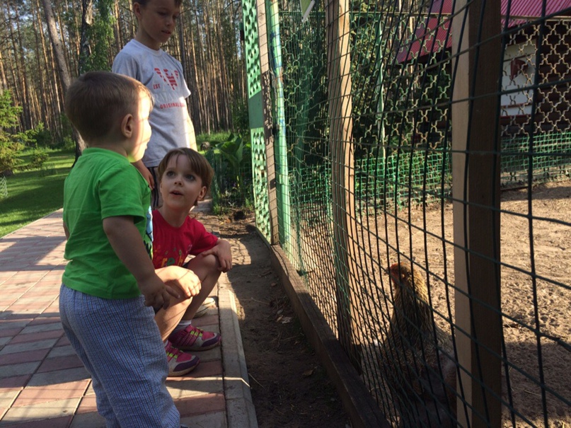 Светлана Донцова Claire | Тольятти