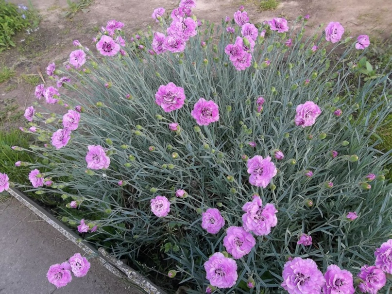 Валентина Вострикова | Москва