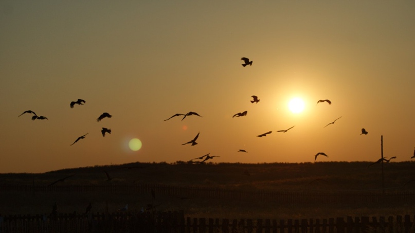 Айдыс Монгуш | Кызыл