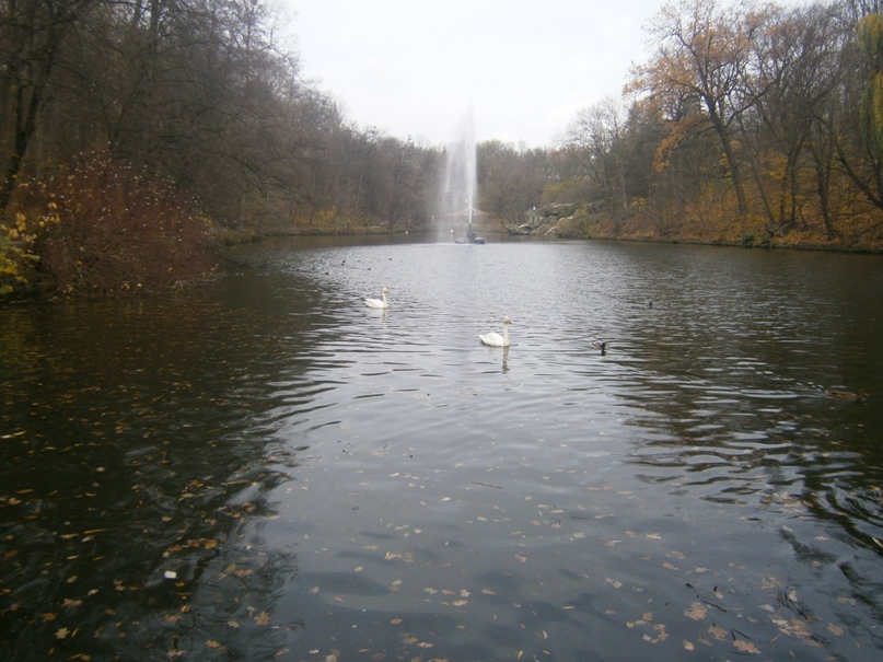 Артем Карапетян | Одесса