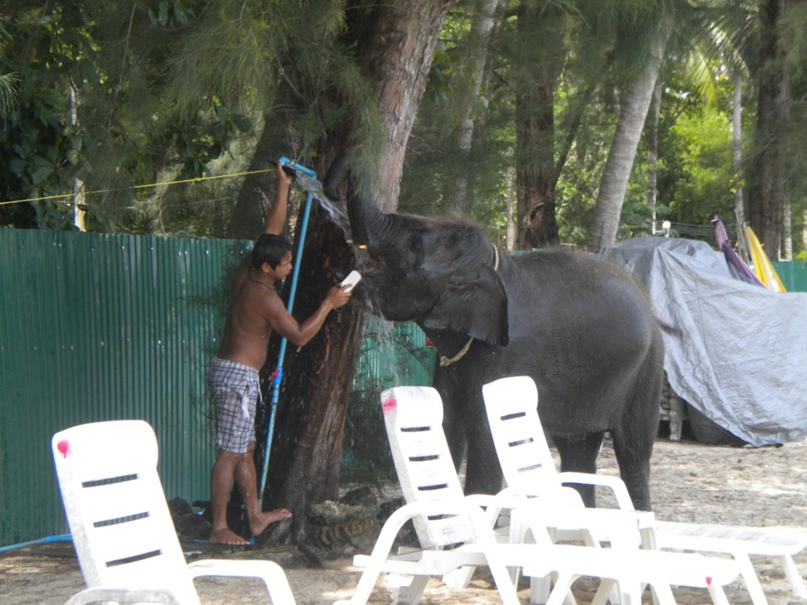 Екатерина Барковская | Москва